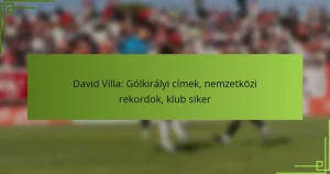 David Villa: Gólkirályi címek, nemzetközi rekordok, klub siker
