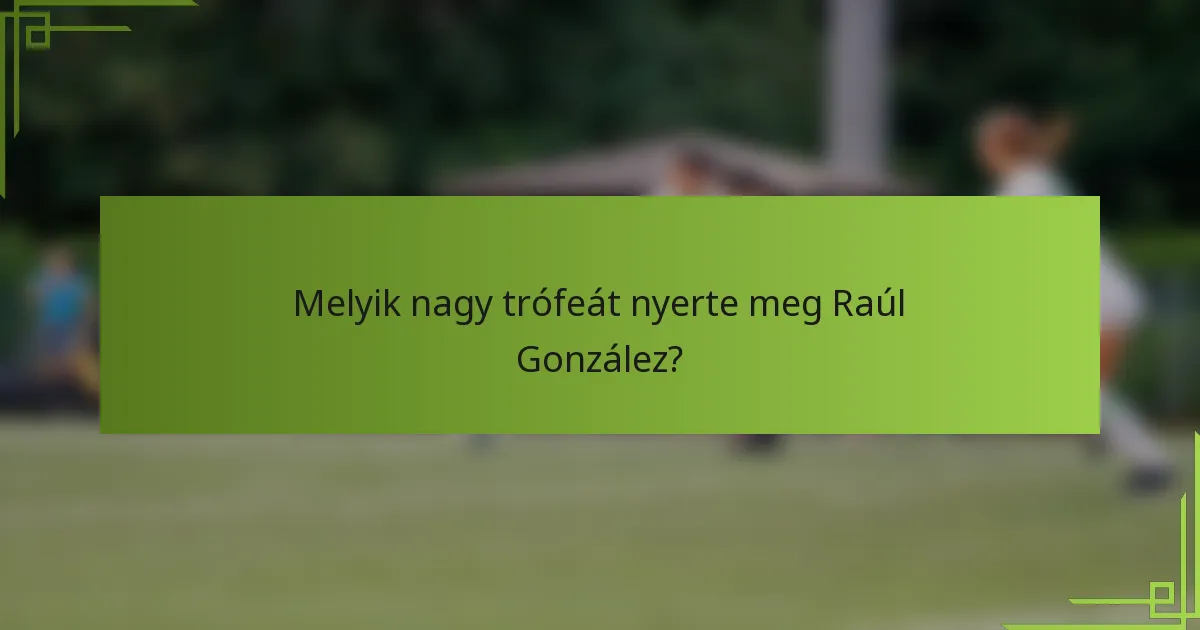 Melyik nagy trófeát nyerte meg Raúl González?
