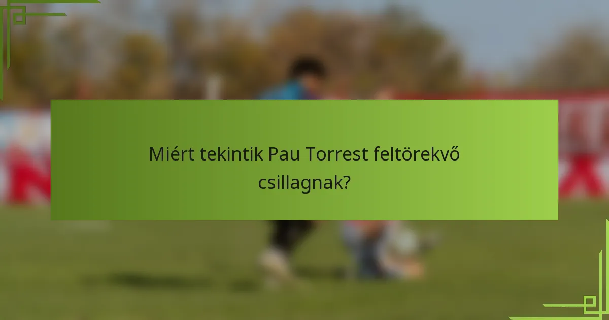 Miért tekintik Pau Torrest feltörekvő csillagnak?