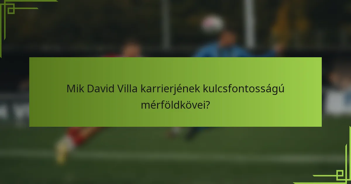 Mik David Villa karrierjének kulcsfontosságú mérföldkövei?