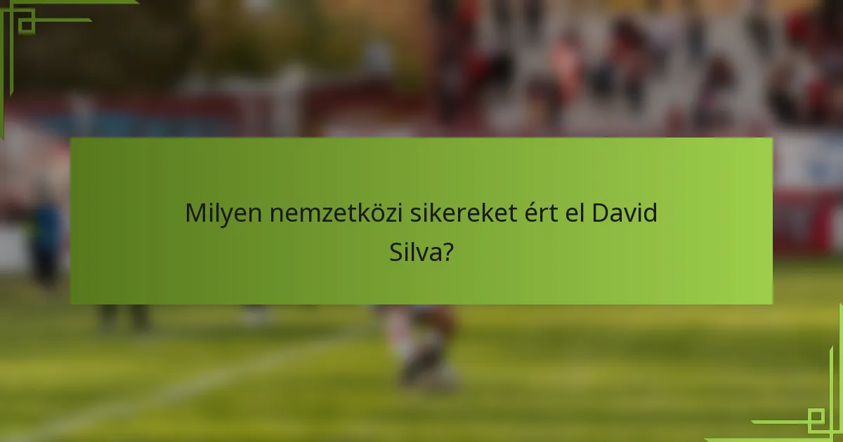 Milyen nemzetközi sikereket ért el David Silva?